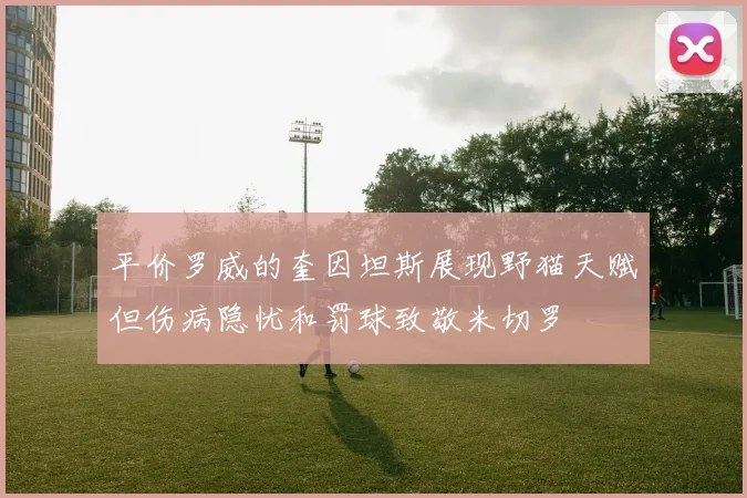 平价罗威的奎因坦斯展现野猫天赋但伤病隐忧和罚球致敬米切罗
